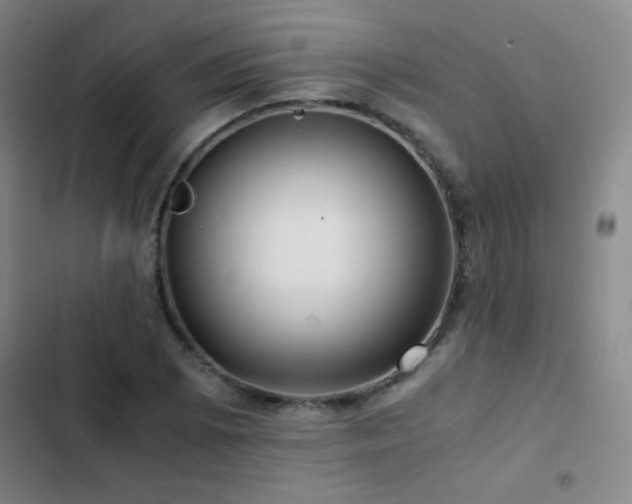 X0000103311073200808291423