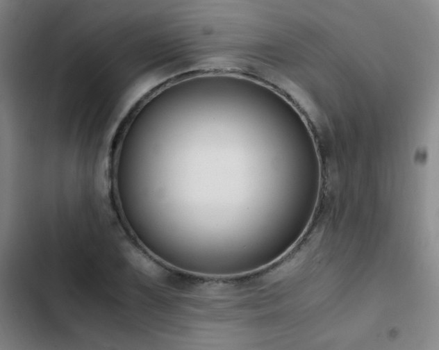 X0000103311075200808291423