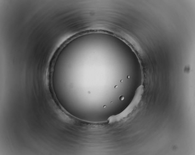 X0000103311076200808291423