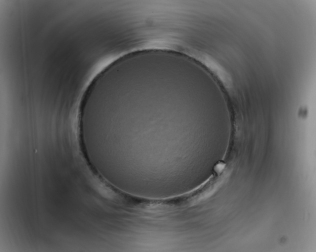 X0000103311077200808291423