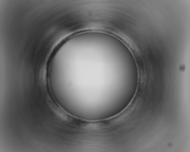 X0000103311078200808291423