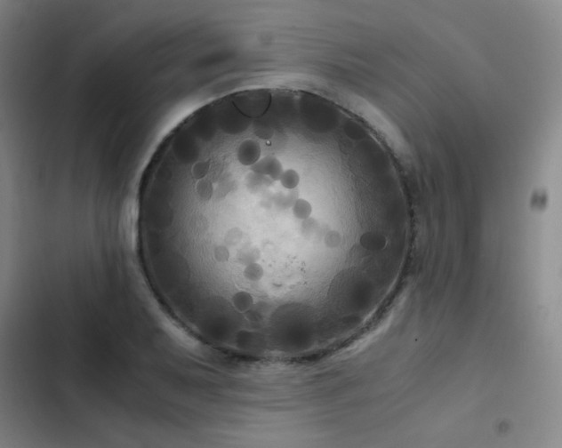 X0000103311079200808291423