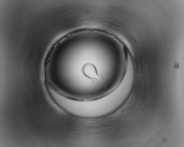 X0000103311080200808291423