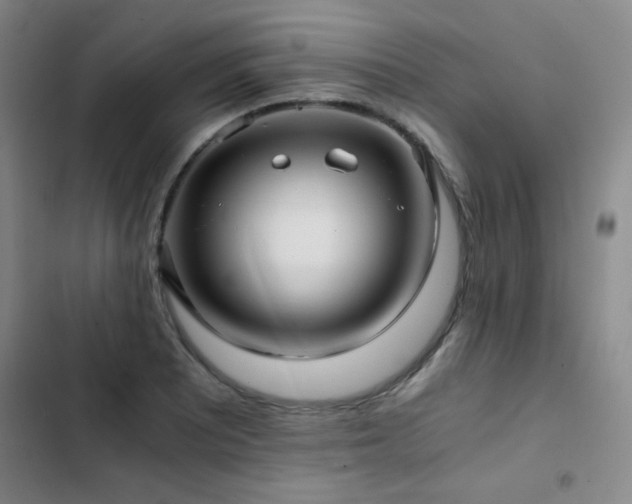 X0000103311081200808291423