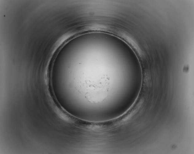 X0000103311082200808291423