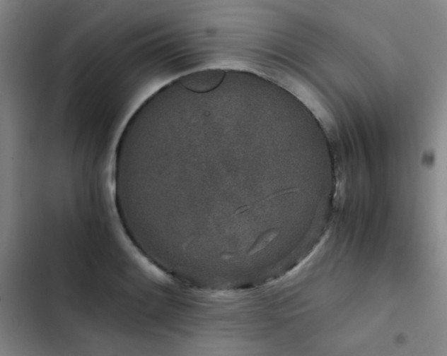 X0000103311084200808291423