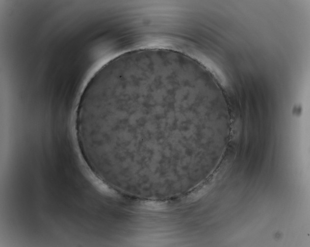 X0000103311086200808291423