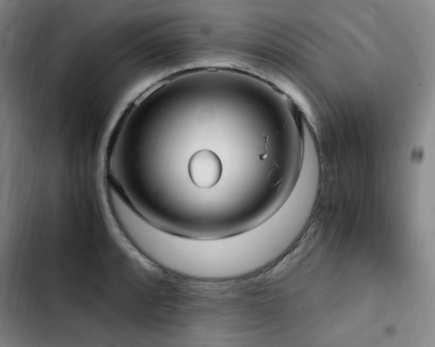X0000103311088200808291423