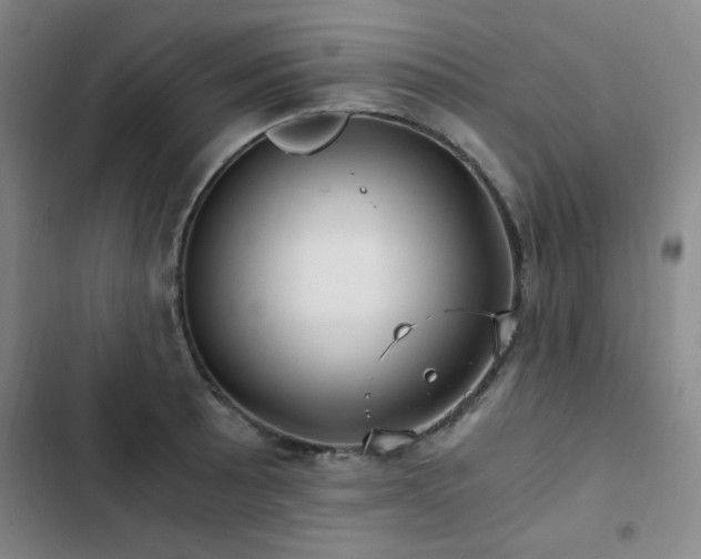 X0000103311089200808291423