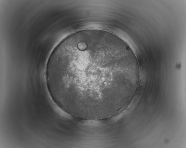 X0000103311090200808291423