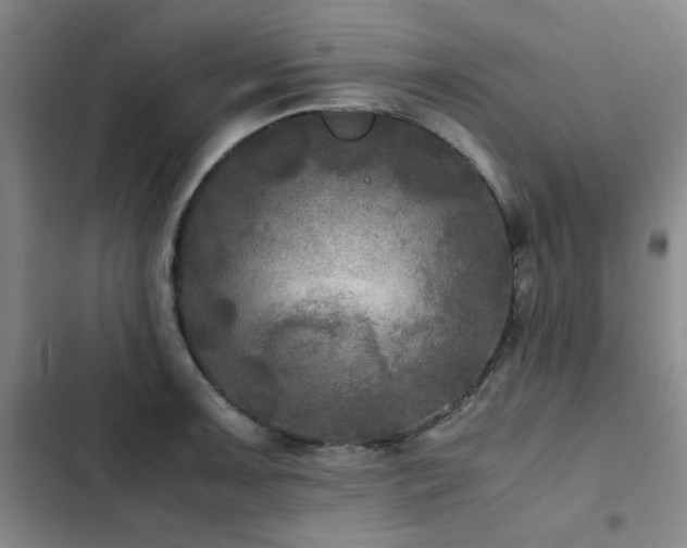 X0000103311091200808291423