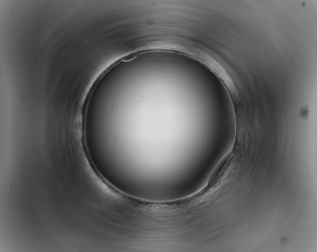 X0000103311092200808291423
