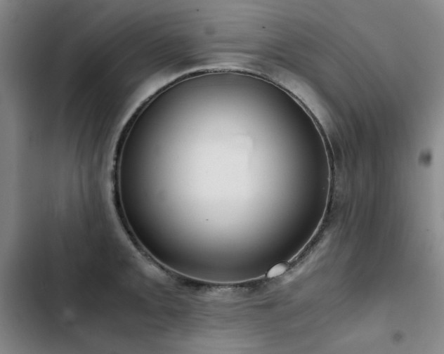 X0000103311093200808291423