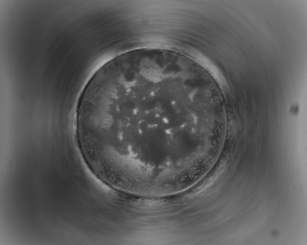 X0000103311095200808291423