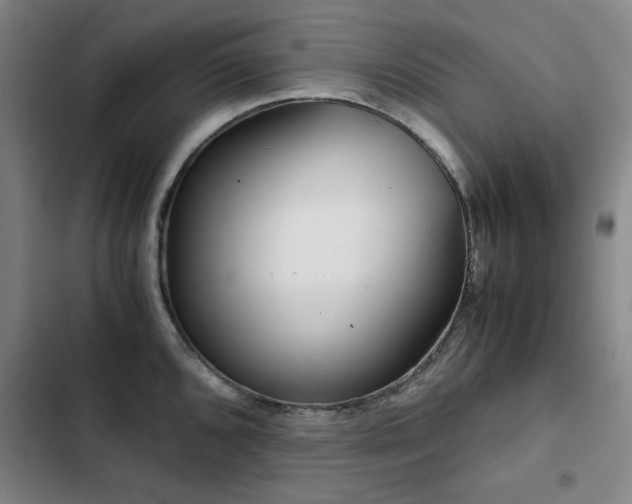 X0000103311096200808291423