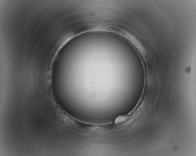 X0000103311097200808291423