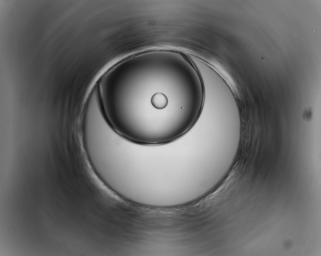 X0000103311100200808291423