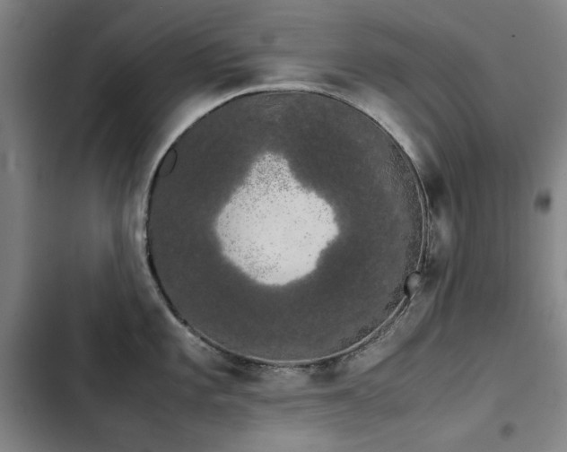 X0000103311101200808291423