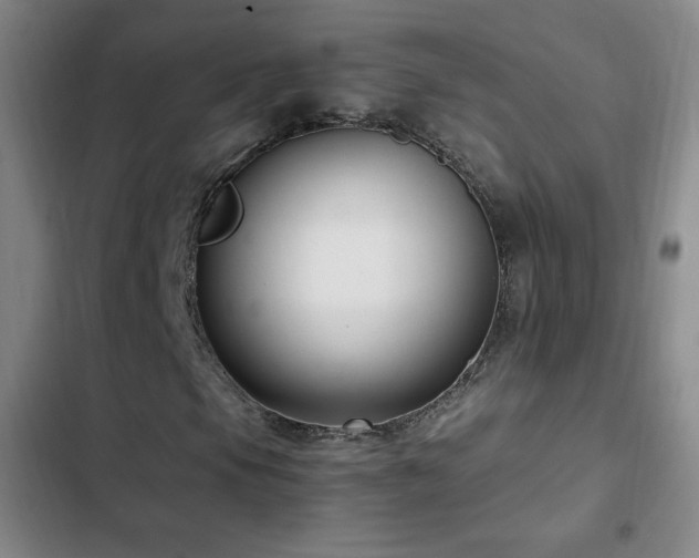 X0000103311105200808291422