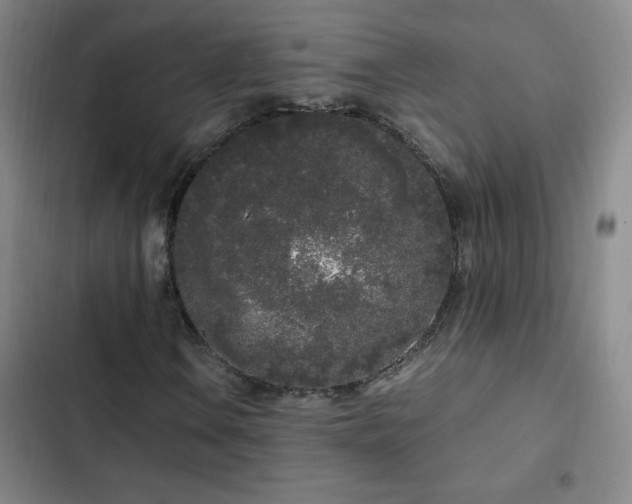 X0000103311106200808291422
