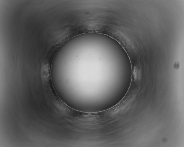 X0000103311107200808291422