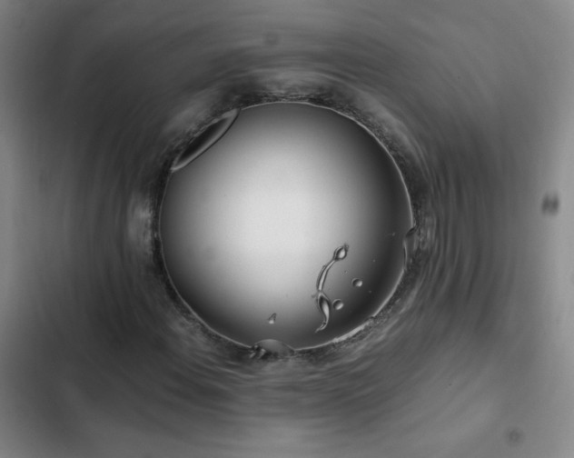 X0000103311108200808291422