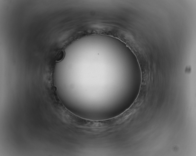 X0000103311109200808291422