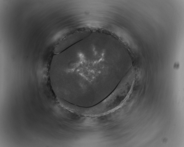 X0000103311110200808291422