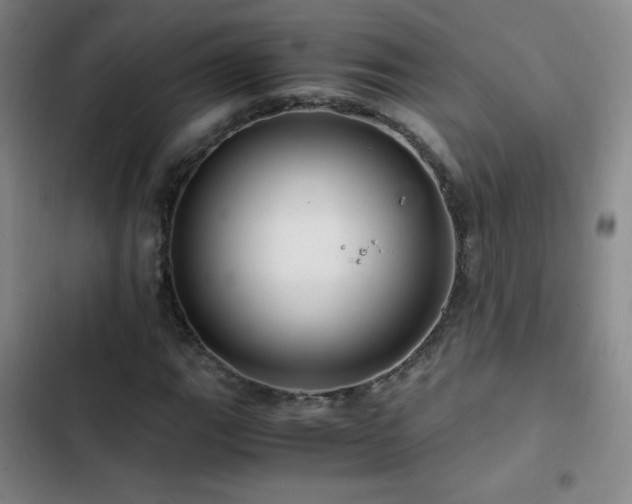 X0000103311111200808291422