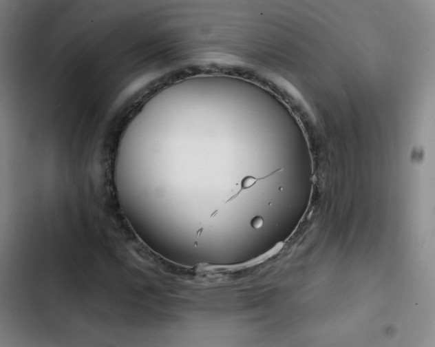 X0000103311112200808291422