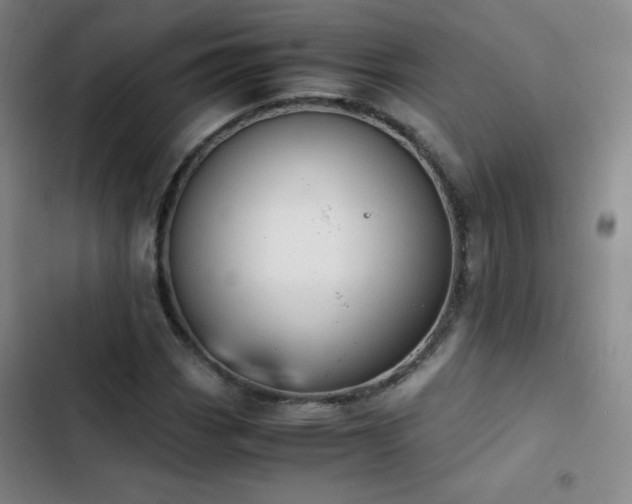X0000103311113200808291422