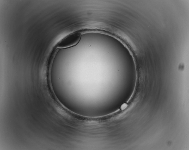 X0000103311114200808291422