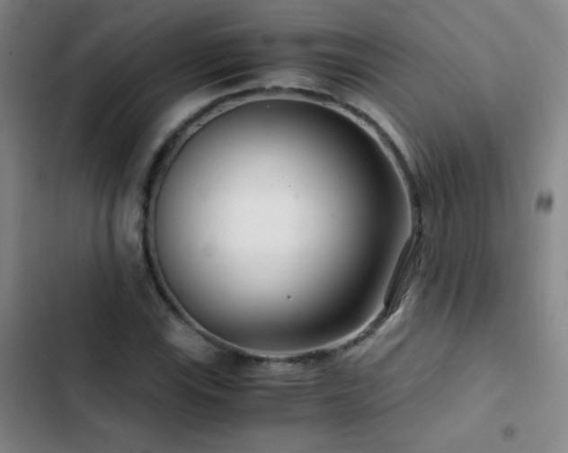 X0000103311115200808291422