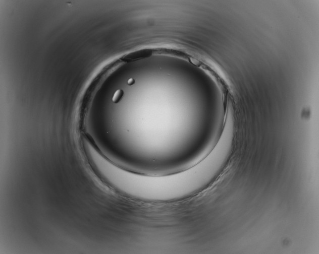 X0000103311116200808291422