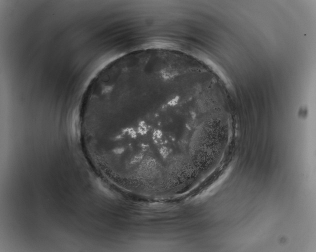 X0000103311117200808291422