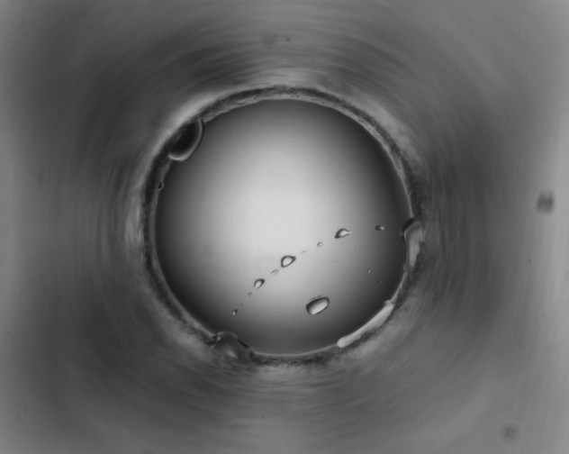 X0000103311118200808291422