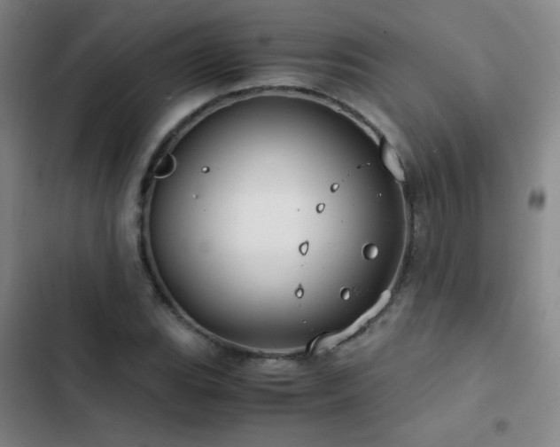 X0000103311119200808291422