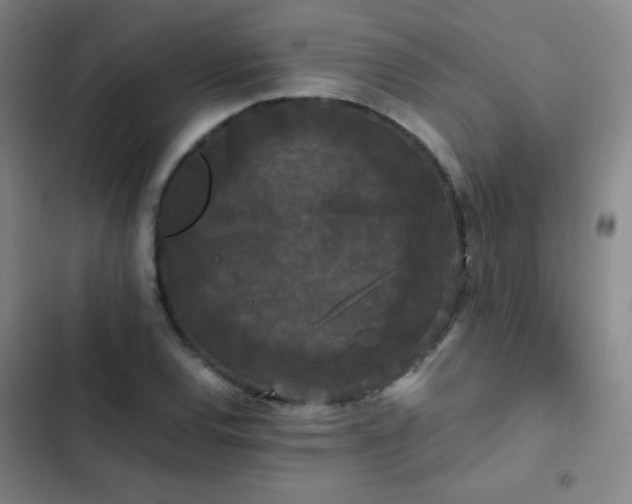 X0000103311120200808291422