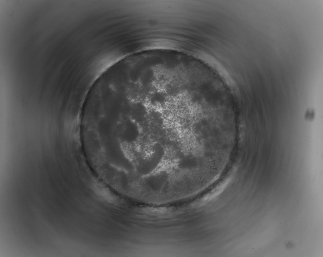 X0000103311121200808291422