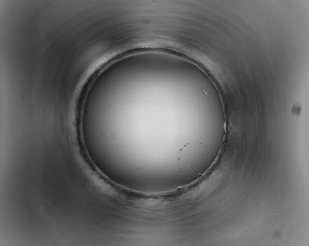 X0000103311122200808291422