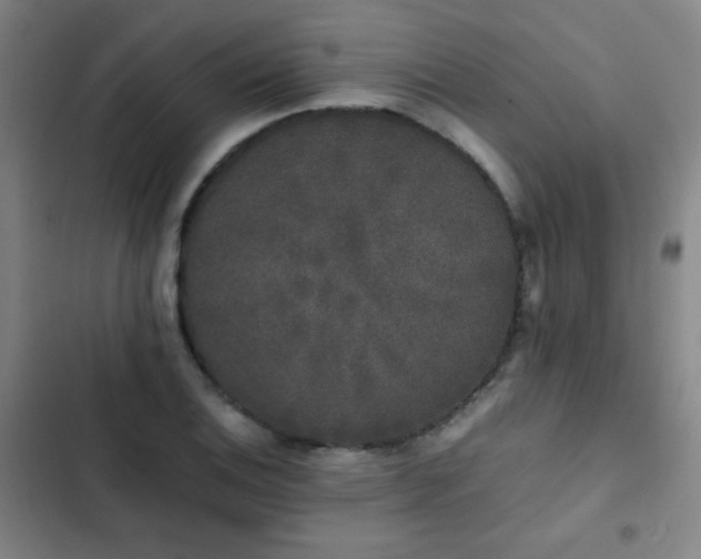 X0000103311124200808291422