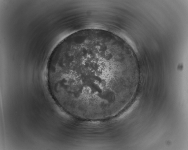 X0000103311125200808291422