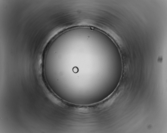 X0000103311126200808291422