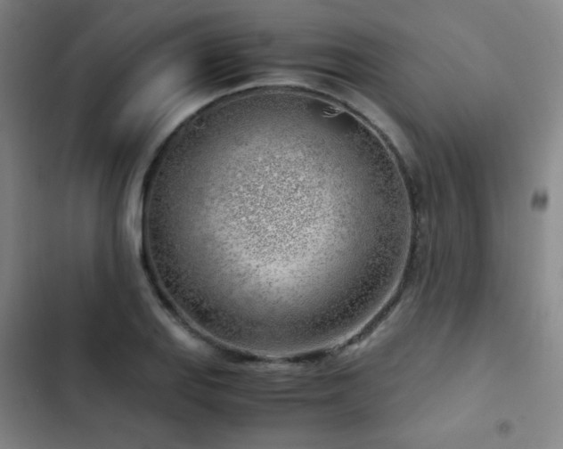 X0000103311127200808291422
