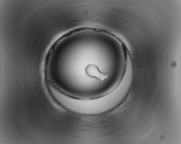X0000103311128200808291422