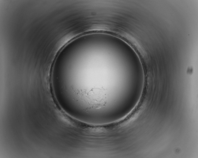 X0000103311129200808291422