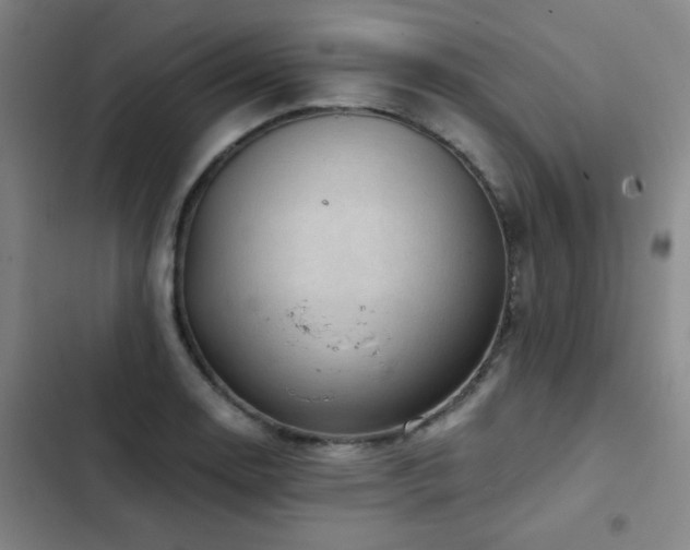 X0000103311130200808291422