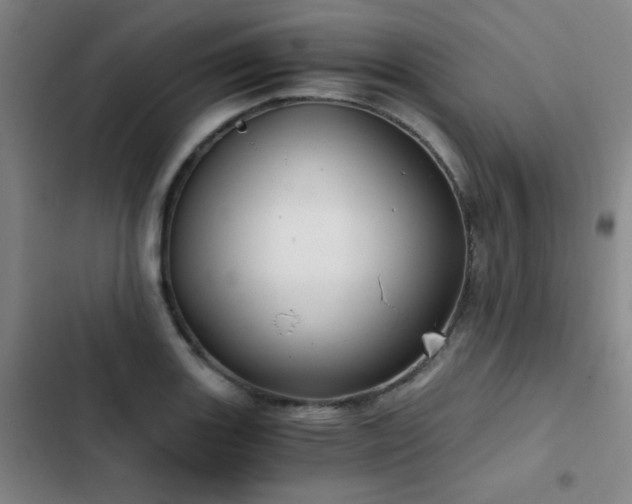 X0000103311131200808291422