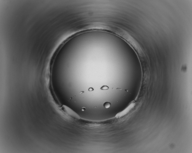X0000103311132200808291422