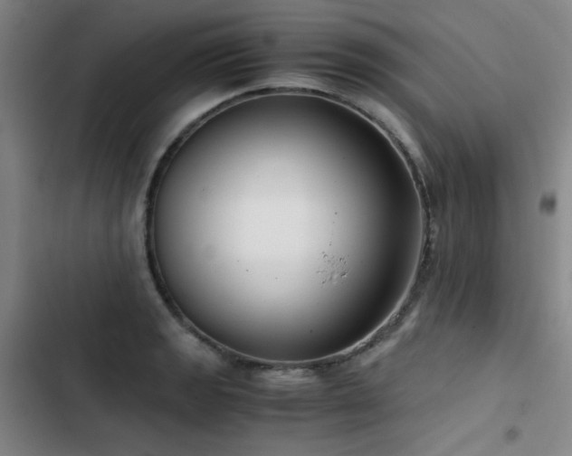 X0000103311133200808291422